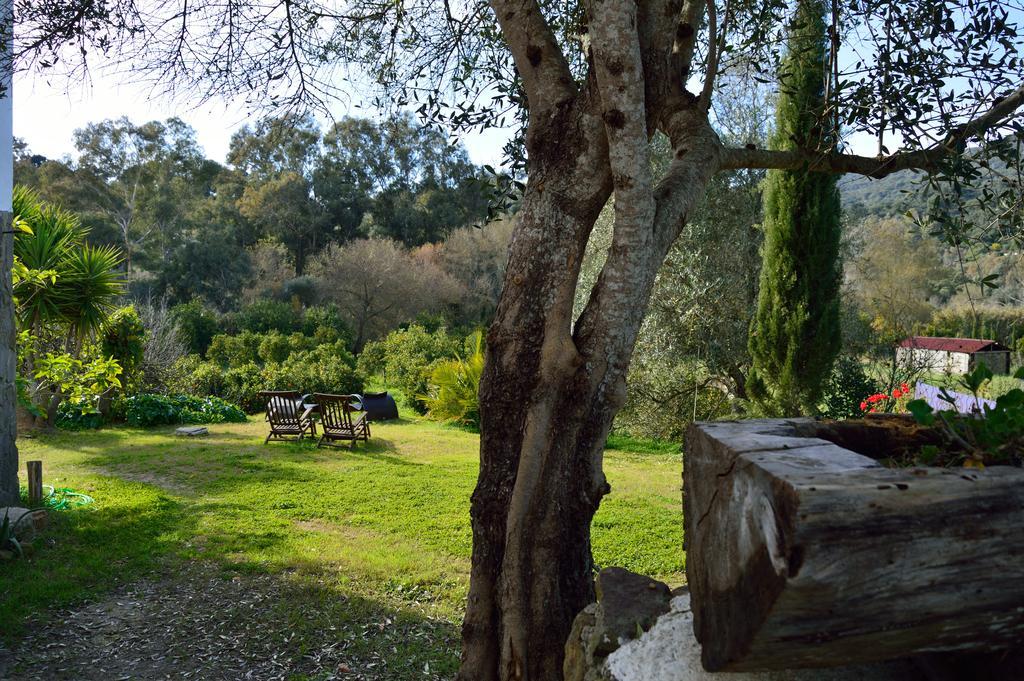 Casa Rural Ahoraya El Colmenar エクステリア 写真