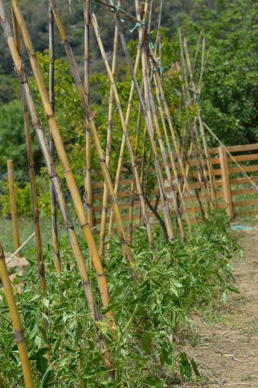 Casa Rural Ahoraya El Colmenar エクステリア 写真