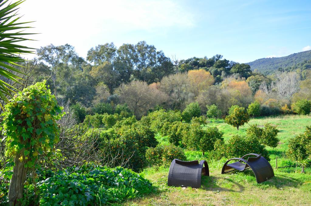 Casa Rural Ahoraya El Colmenar エクステリア 写真