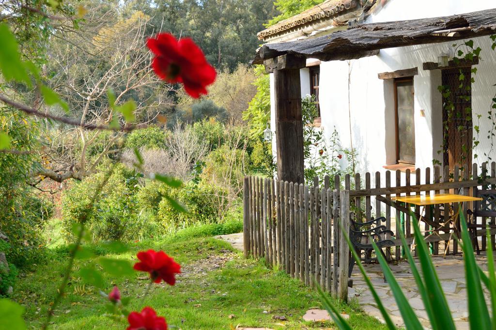 Casa Rural Ahoraya El Colmenar エクステリア 写真