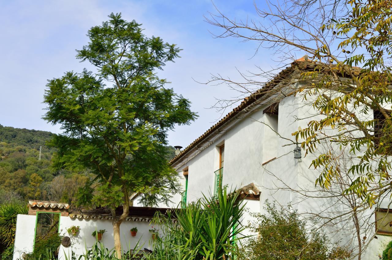 Casa Rural Ahoraya El Colmenar エクステリア 写真