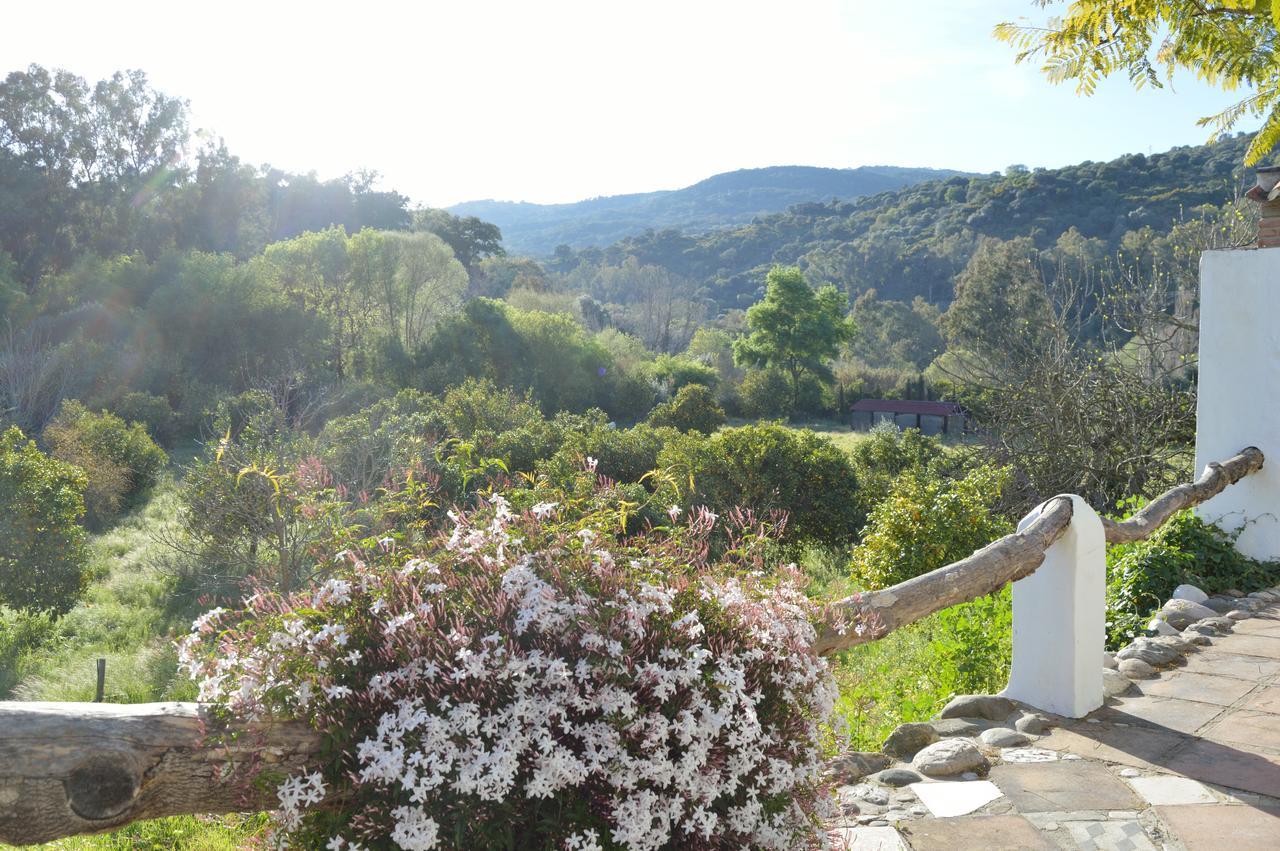 Casa Rural Ahoraya El Colmenar エクステリア 写真