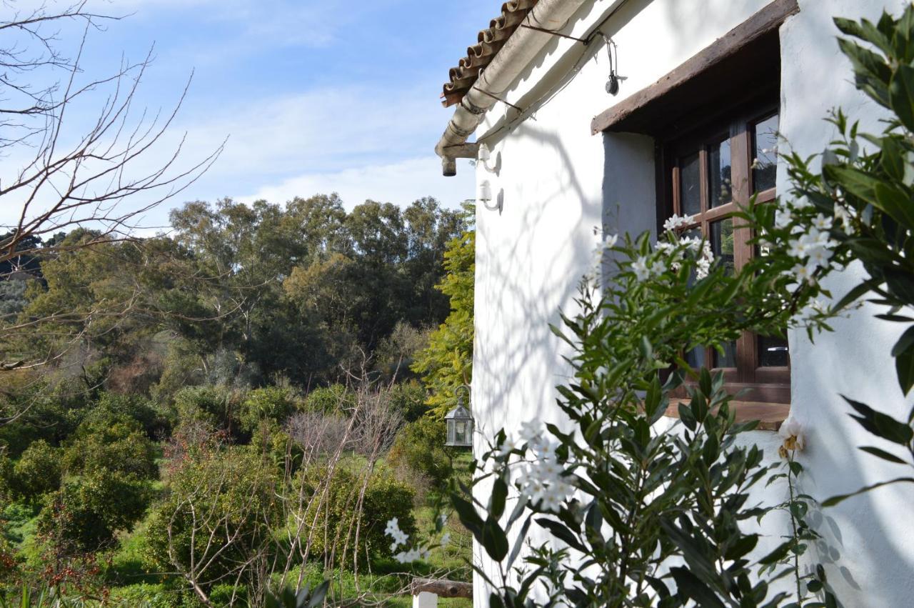 Casa Rural Ahoraya El Colmenar エクステリア 写真